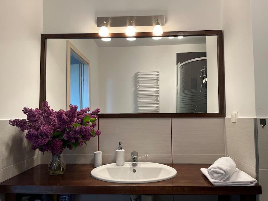 Apartament Hemingwaya Jelenia Gora Ngoại thất bức ảnh