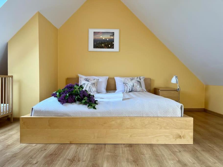 Apartament Hemingwaya Jelenia Gora Ngoại thất bức ảnh