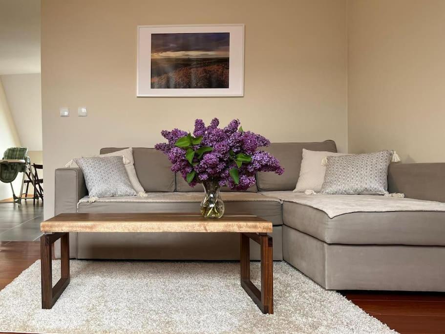 Apartament Hemingwaya Jelenia Gora Ngoại thất bức ảnh